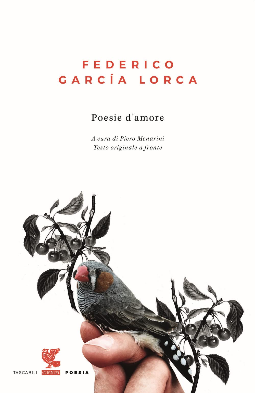 Poesie d'amore. Testo spagnolo a fronte book