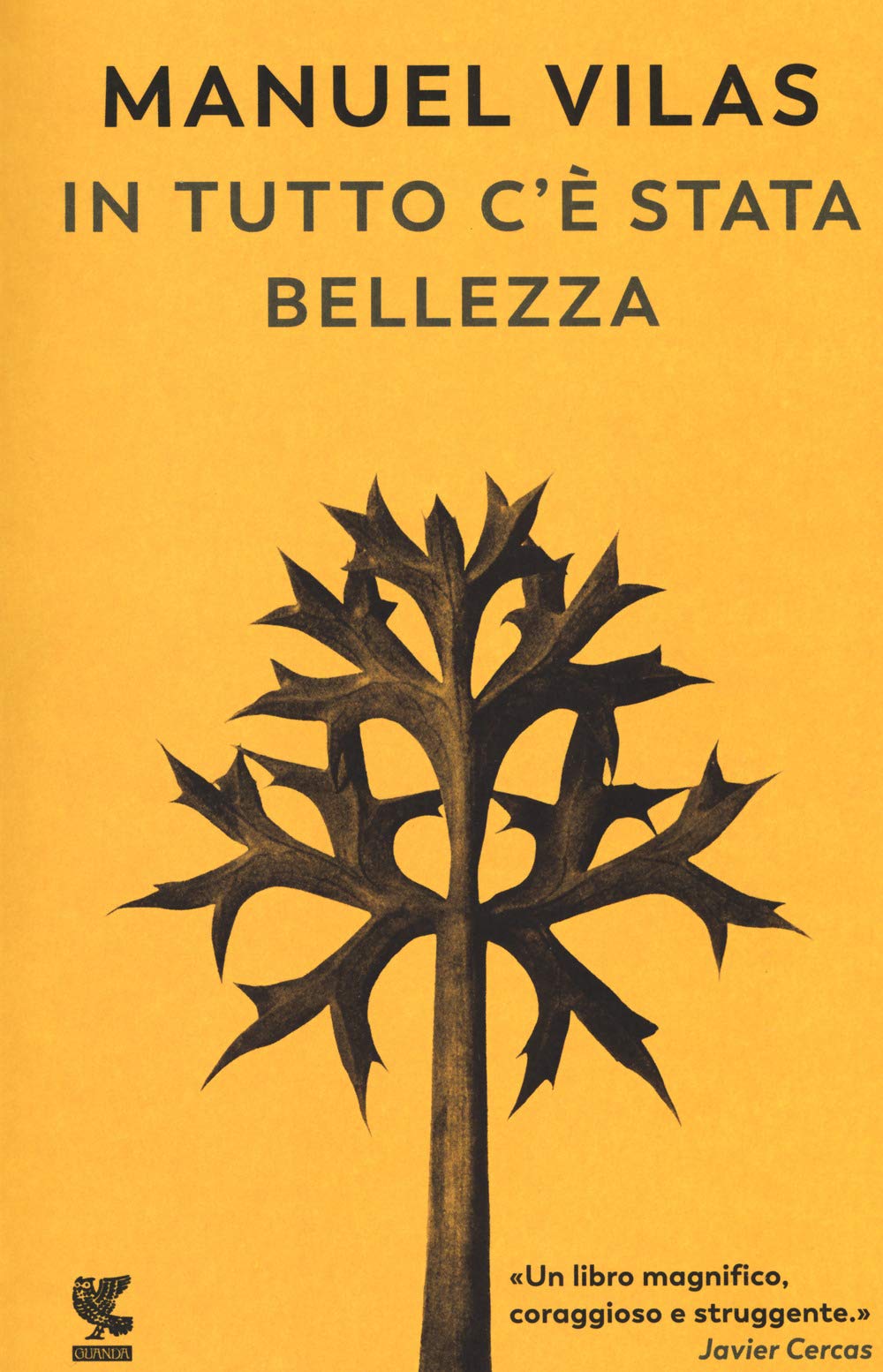 In tutto c'è stata bellezza (Narratori della Fenice) Contemporary literature