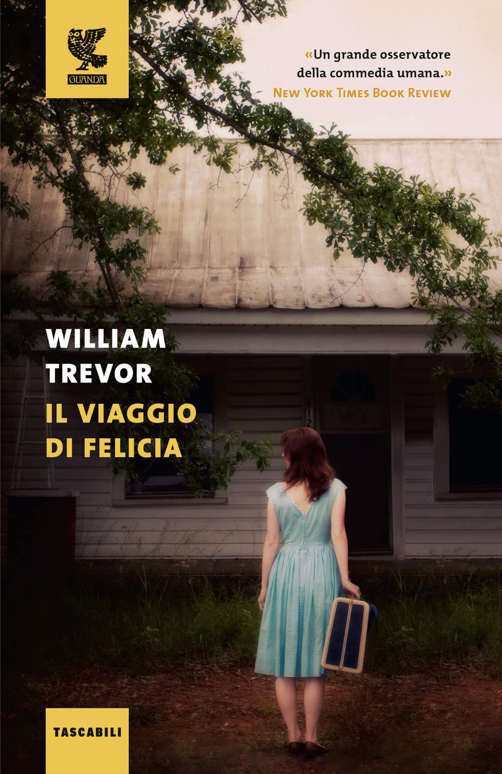 Il viaggio di Felicia book