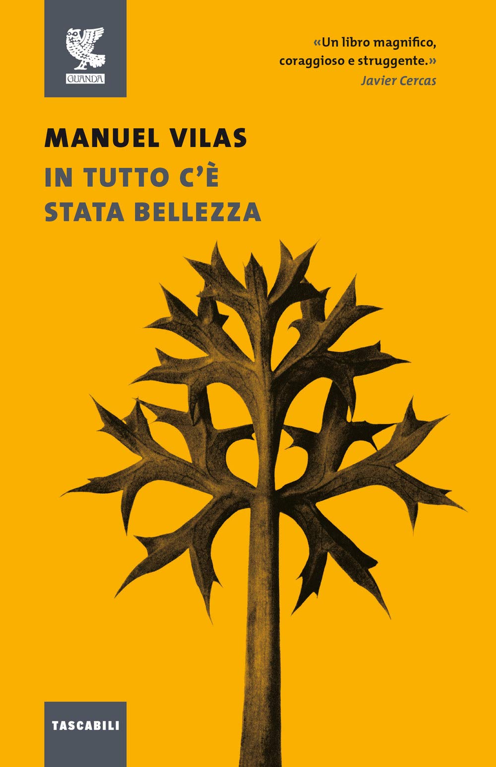 In tutto c'è stata bellezza (Tascabili Guanda. Narrativa) Personalities