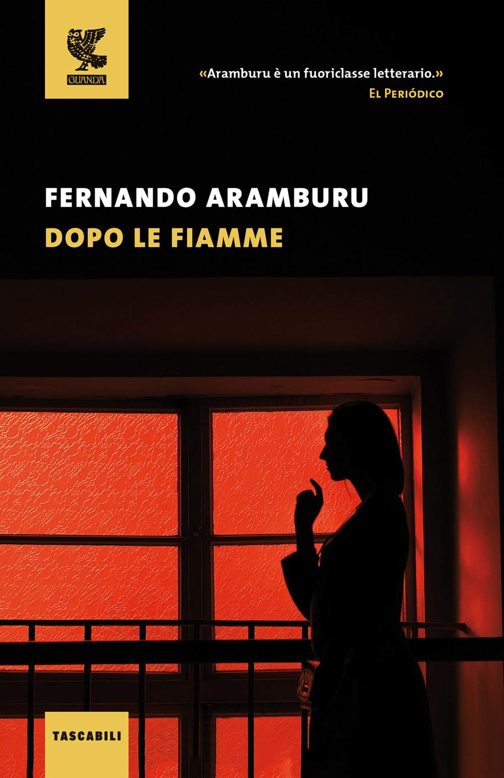 Dopo le fiamme book