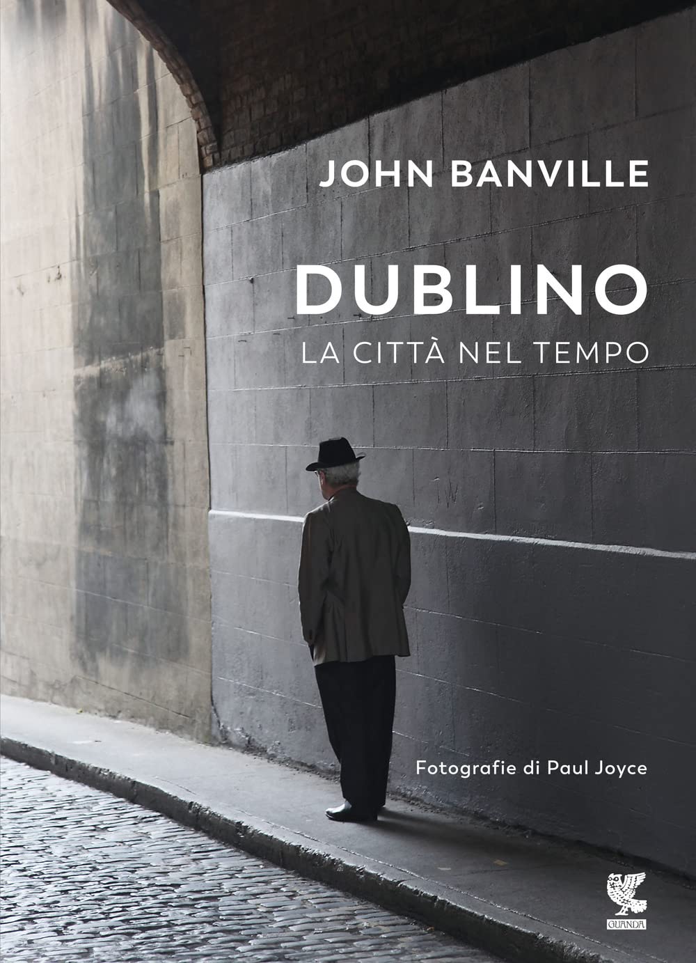 Dublino. La città nel tempo book
