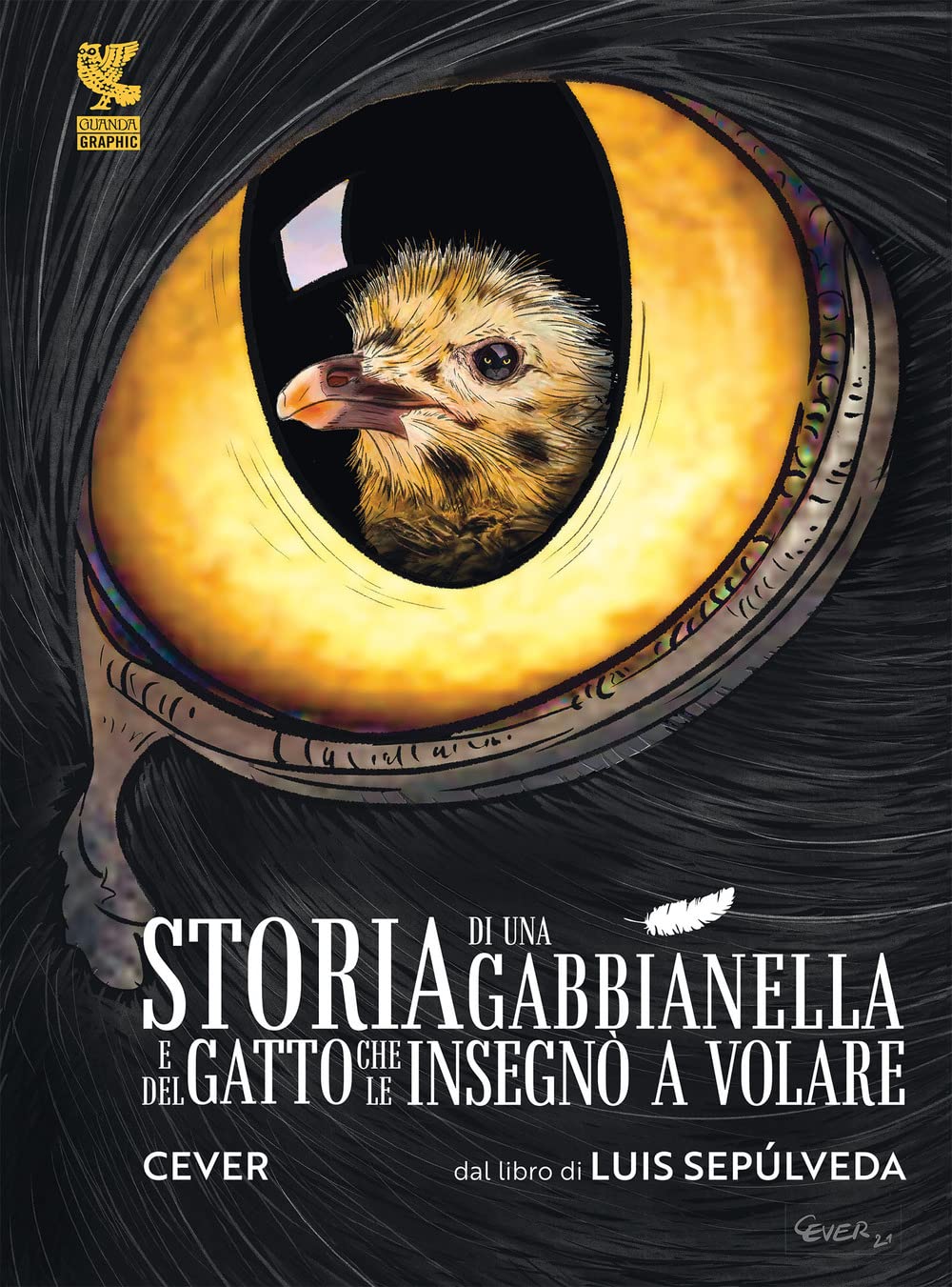 Storia di una gabbianella e del gatto che le insegnò a volare book