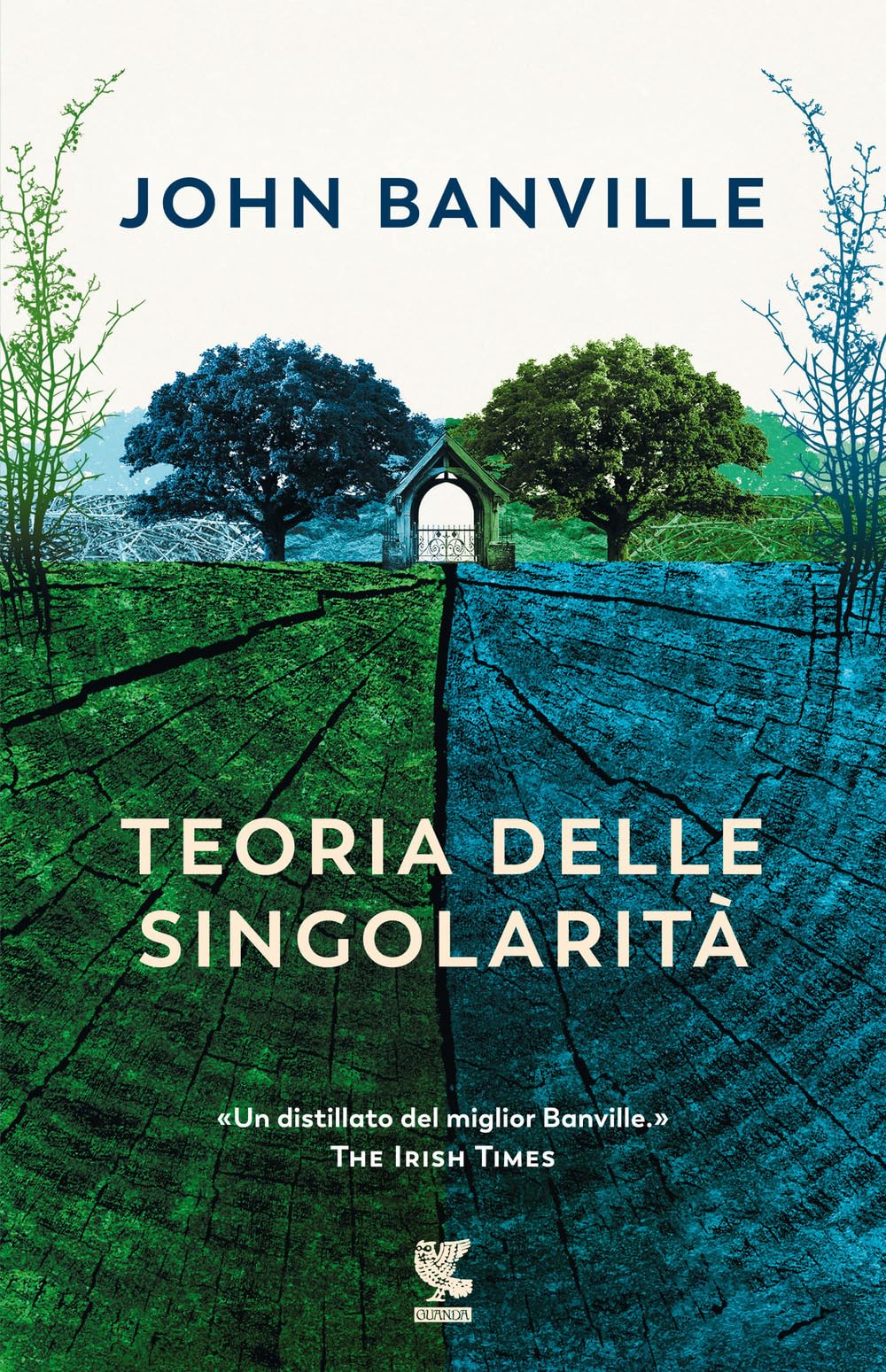 Teoria delle singolarità (Narratori della Fenice) Contemporary literature