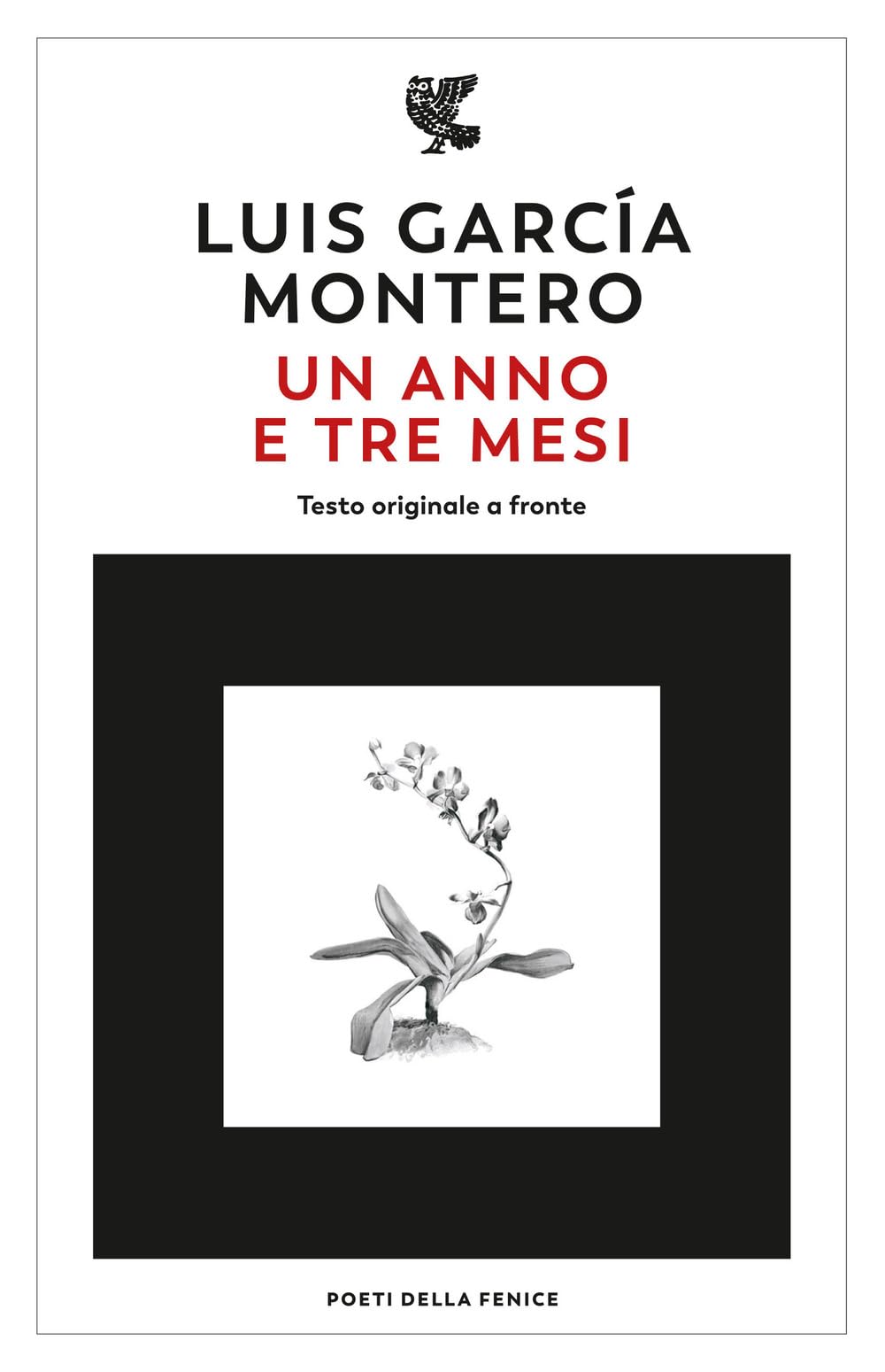 Un anno e tre mesi. Testo originale a fronte Poetry
