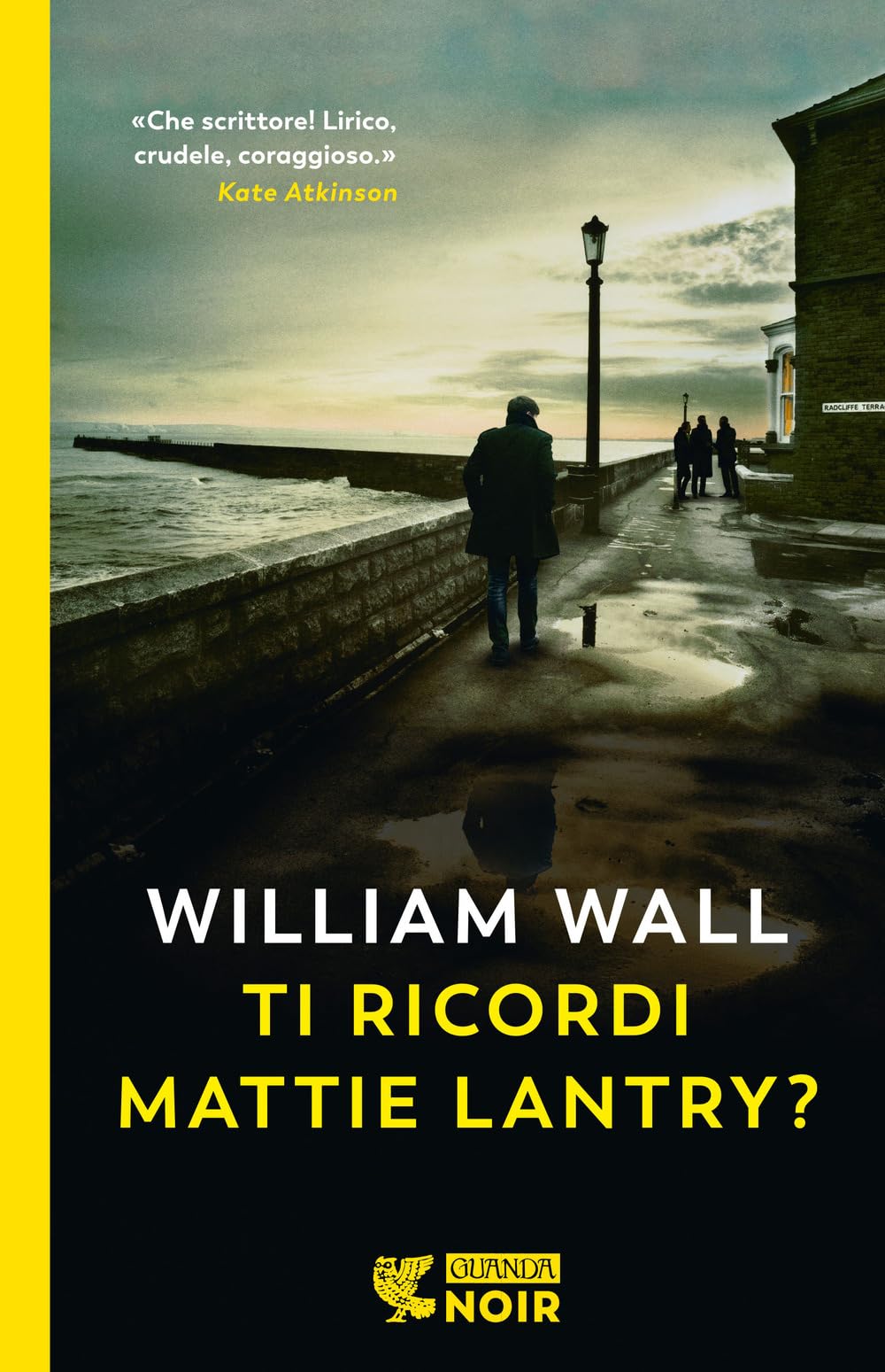Ti ricordi Mattie Lantry? (Guanda noir) Poetry