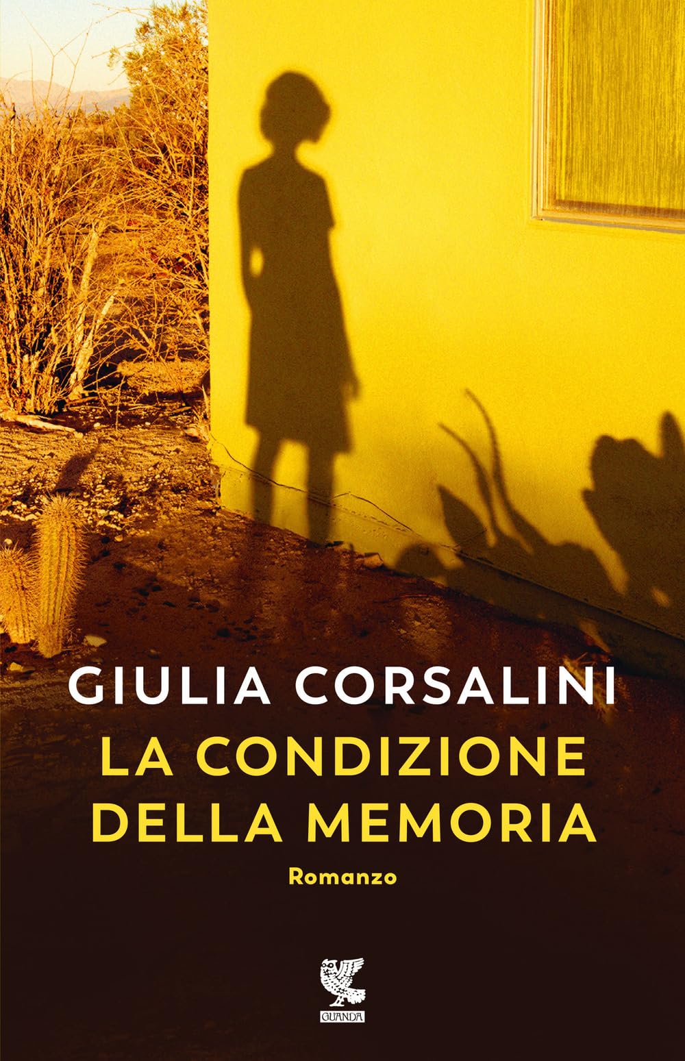 La condizione della memoria book