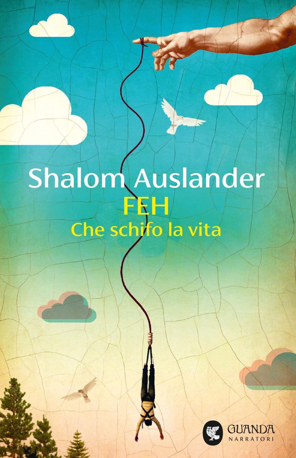 Feh. Che schifo la vita (Narratori della Fenice) Contemporary literature