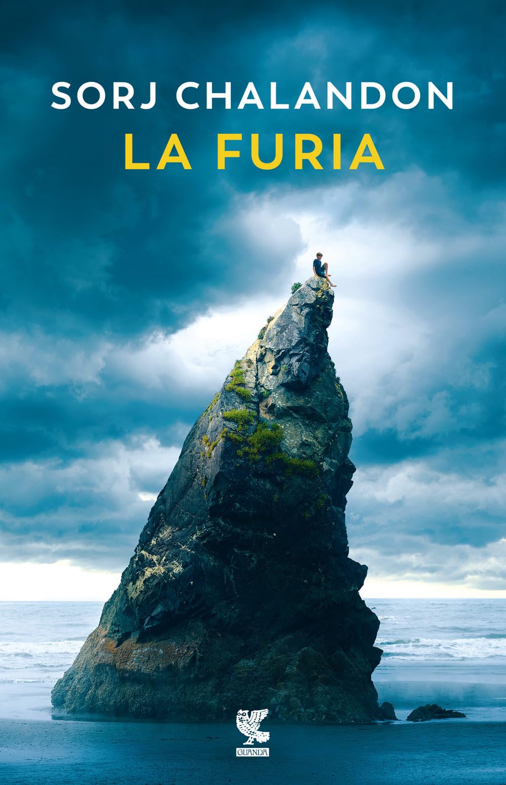 La furia (Narratori della Fenice) Contemporary literature