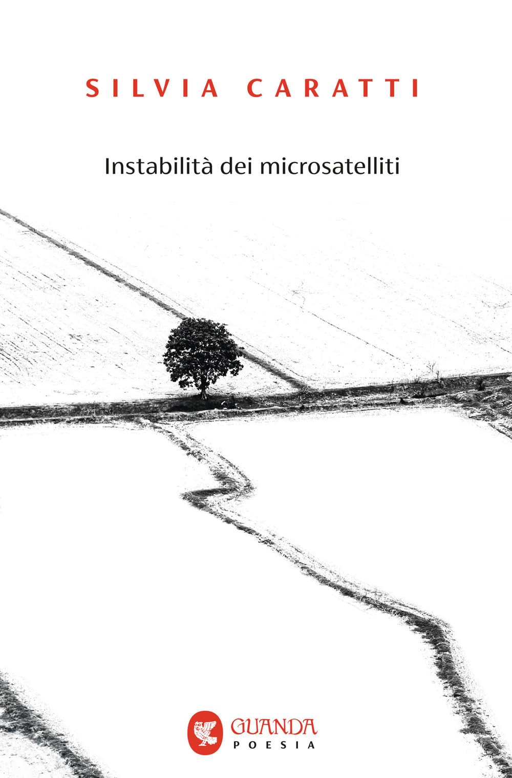 Instabilità dei microsatelliti (Guanda. Poesia) Poetry