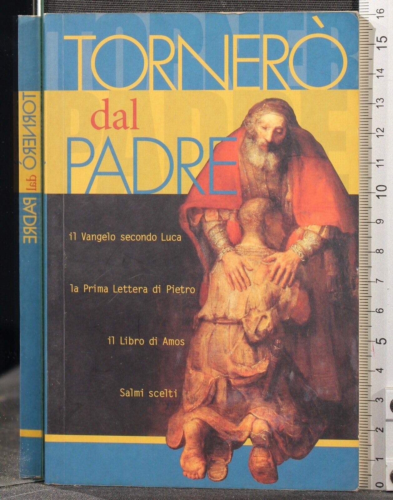 Tornero dal Padre il Vangelo secondo Luca - la Prima Lettera di Pietro - il Libro di Amos - Salmi scelti Books