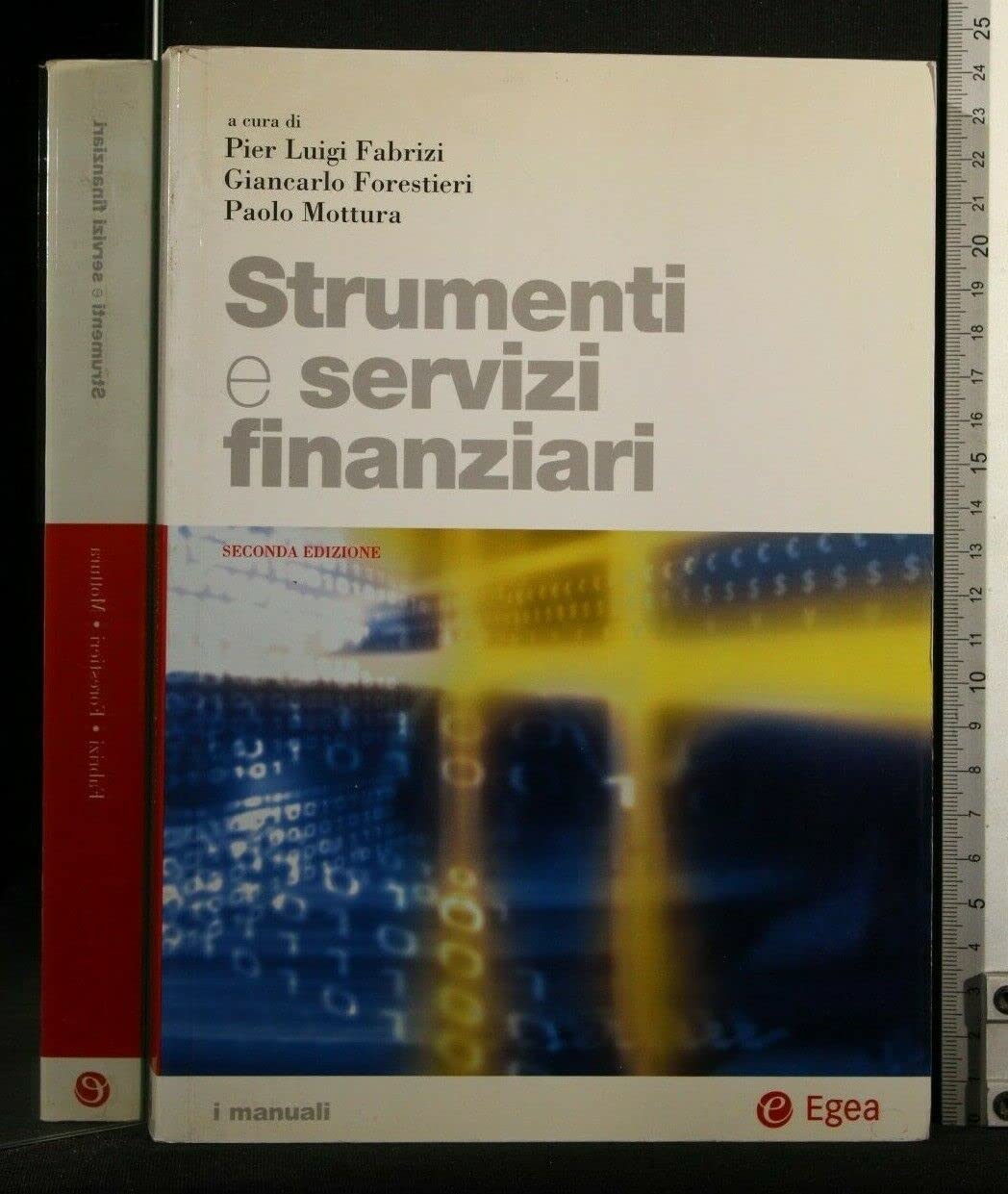 Strumenti e servizi finanziari (I Manuali, Band 12) Business & Technology