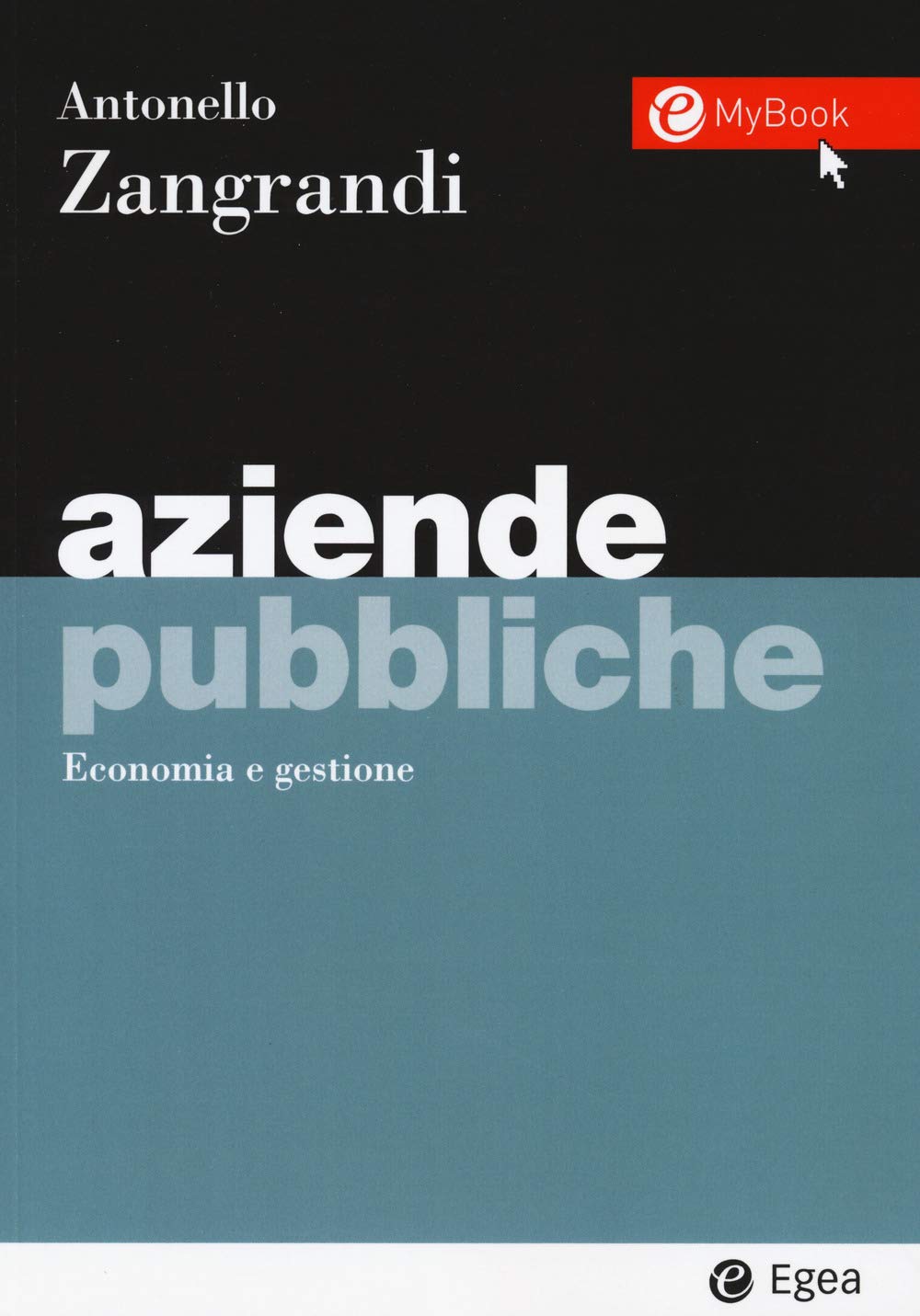 Aziende pubbliche. Economia e gestione. Con Contenuto digitale per accesso online (I Manuali, Band 154) Business, Finance & Career