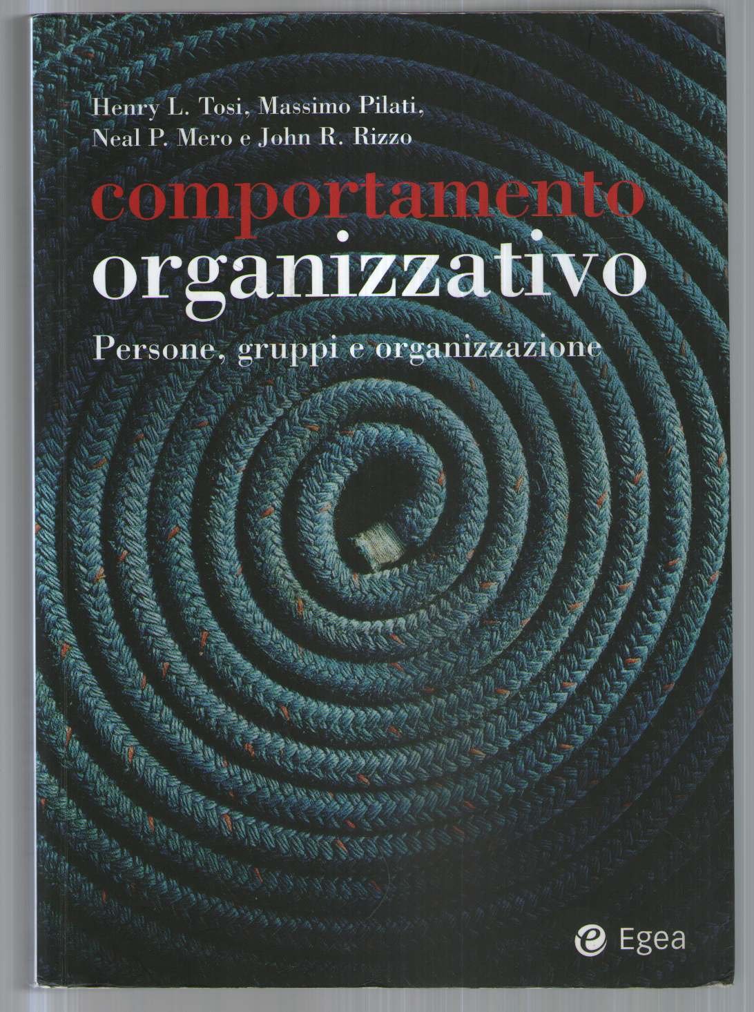 Comportamento organizzativo. Persone, gruppi e organizzazione (I saggi) Business, Finance & Career