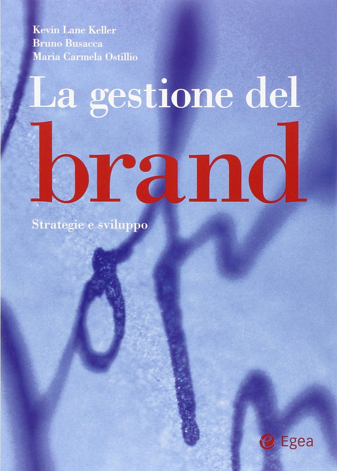 La gestione del brand. Strategie e sviluppo book