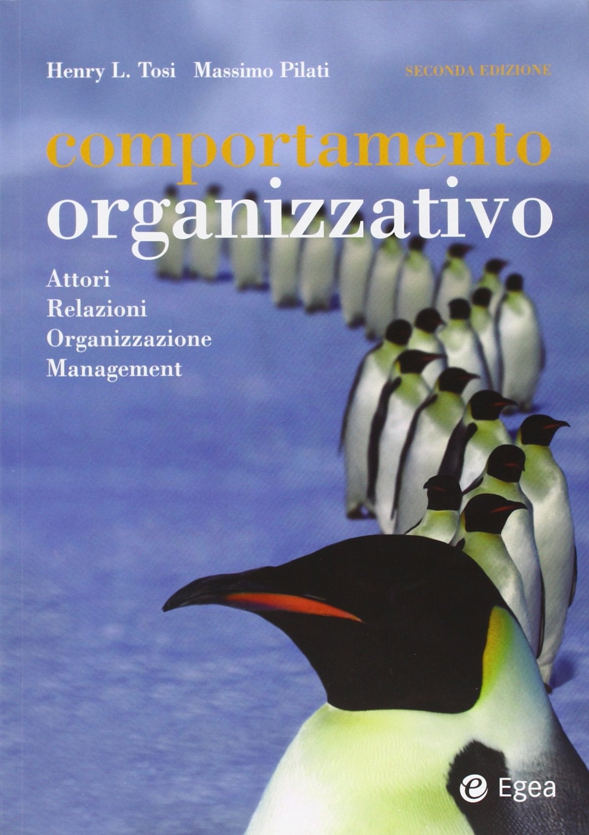 Comportamento organizzativo. Attori, relazioni, organizzazione, management Business, Finance & Career