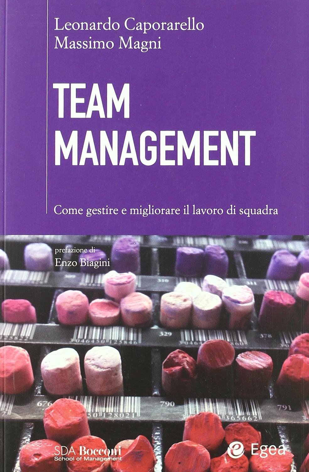 Team management. Come gestire e migliorare il lavoro di squadra book