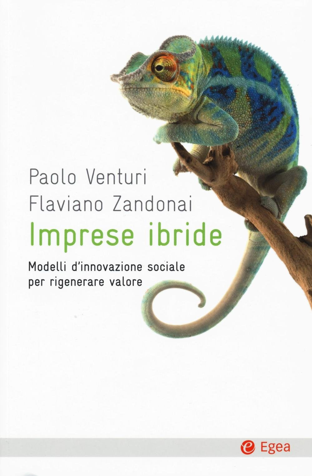 Imprese ibride. Modelli d'innovazione sociale per rigenerare valore Business, Finance & Career