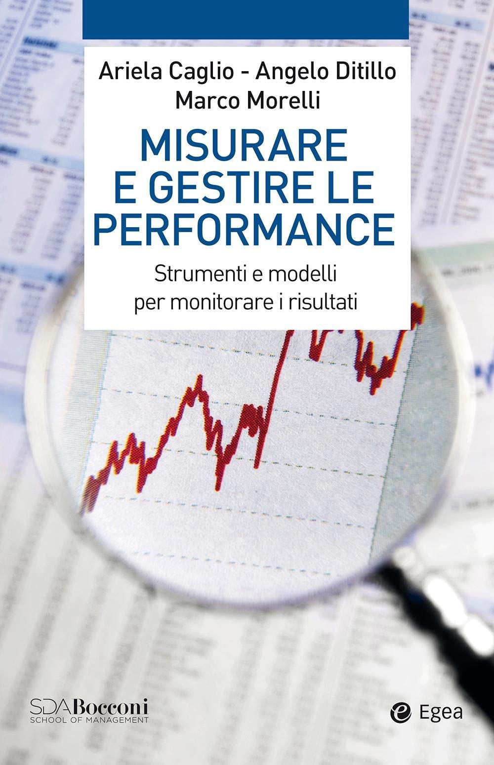 Misurare e gestire le performance. Strumenti e modelli per monitorare i risultati book