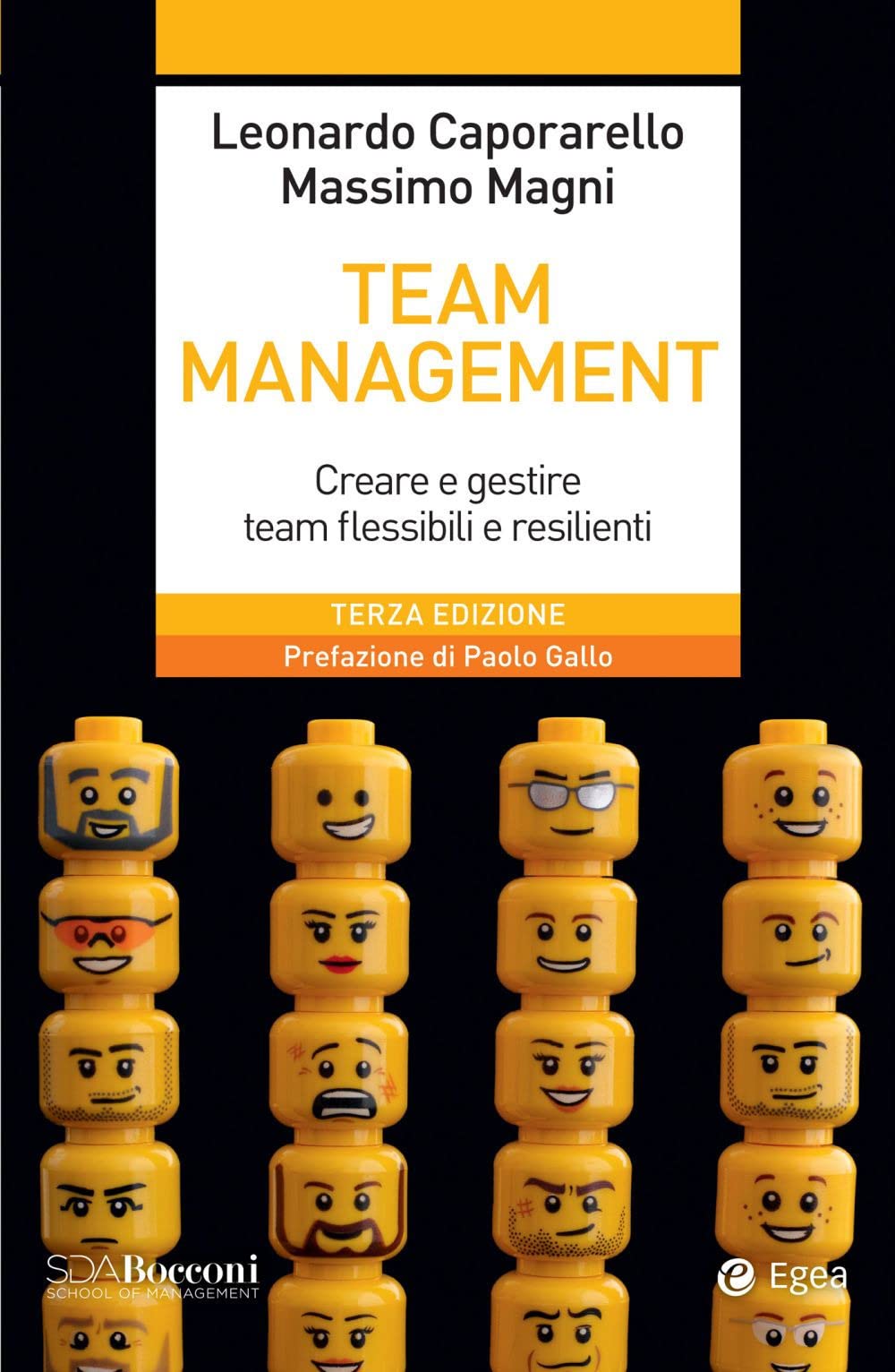 Team management. Come gestire e migliorare il lavoro di squadra book