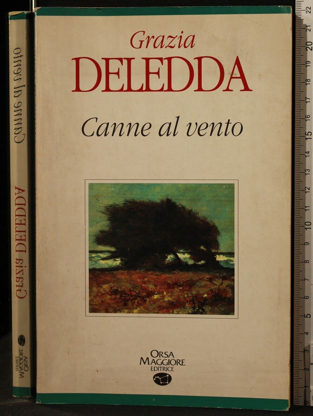 Canne al vento (Stelle dell'Orsa) Classics