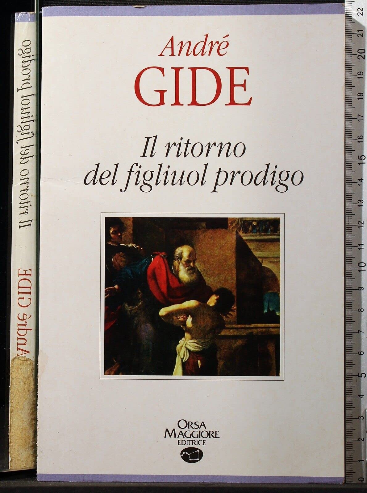 Il ritorno del figliuol prodigo book