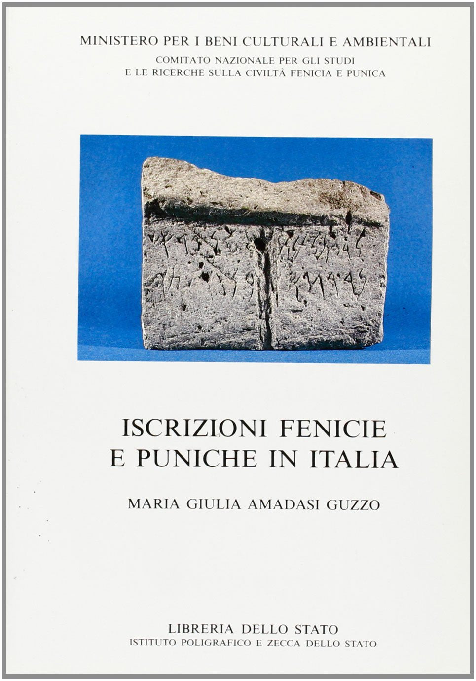 Le iscrizioni fenicie e puniche in Italia book