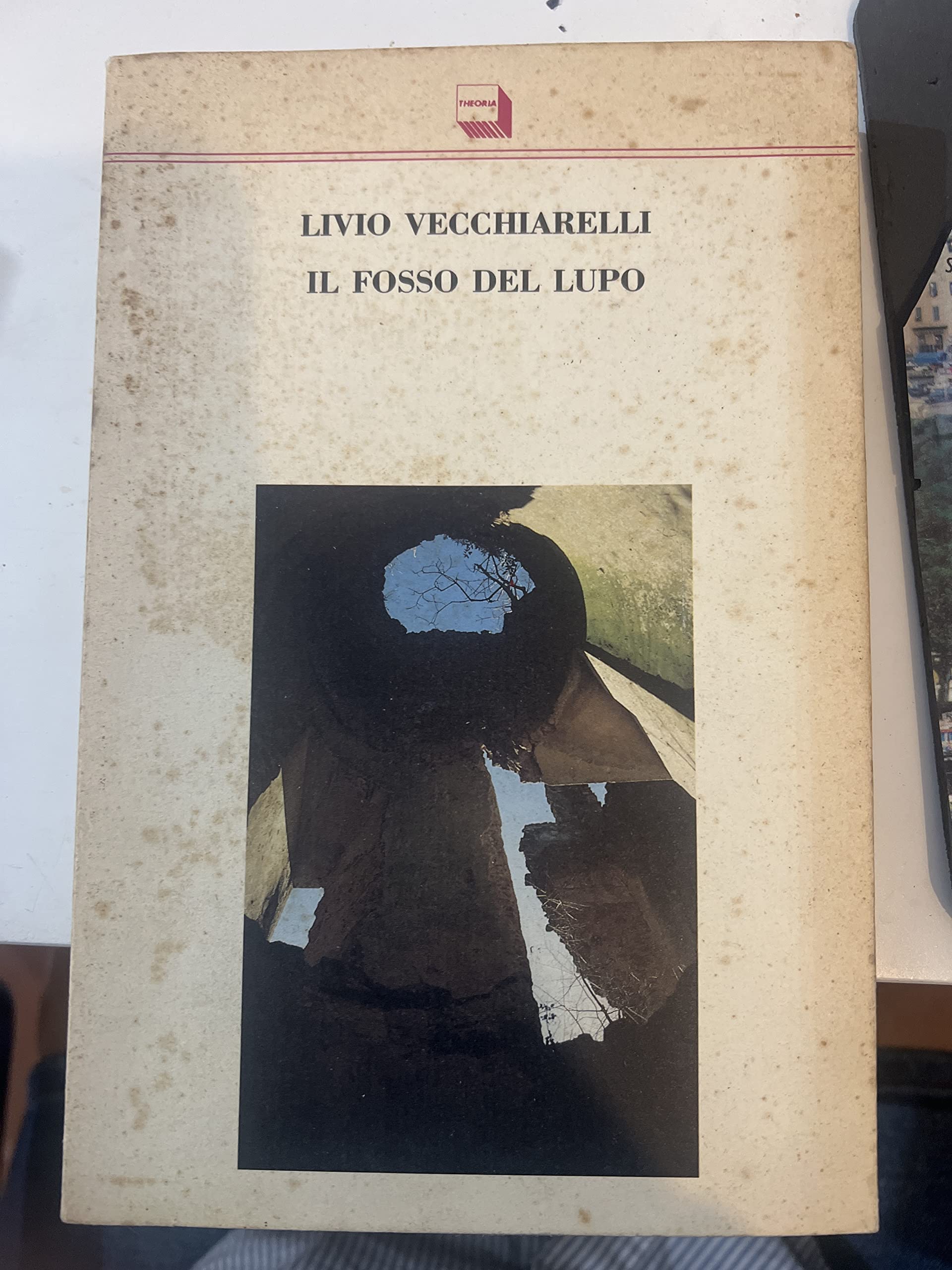 Il fosso del lupo (Confini, Band 16) Contemporary literature