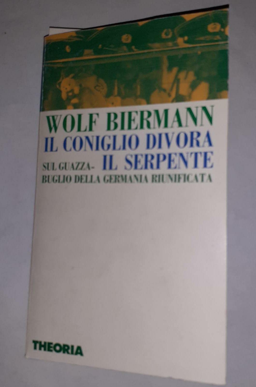 Il coniglio divora il serpente. Sul guazzabuglio della Germania riunificata book