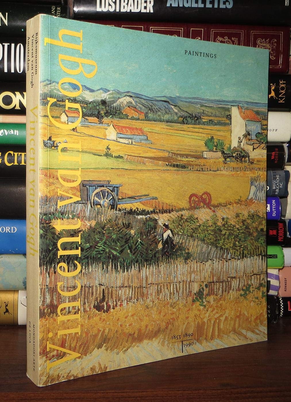 Vincent van Gogh - Paintings Books