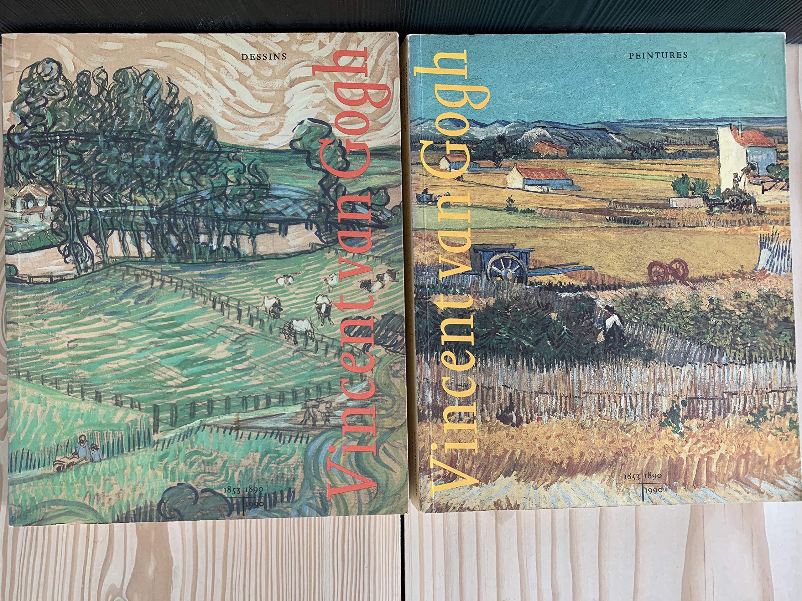 Vincent van Gogh, tekeningen-schilderijen (2 volumes) book
