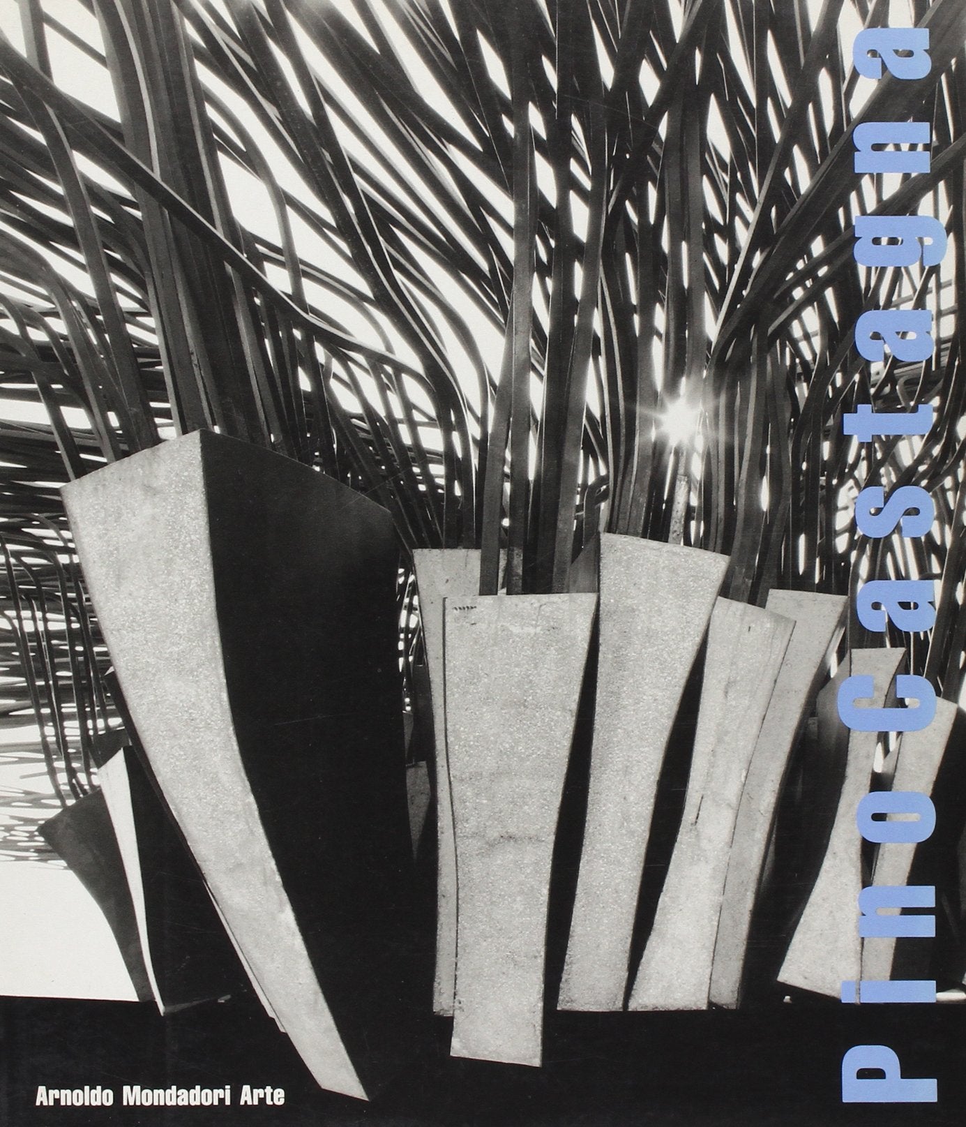 Pino Castagna. Sculture monumentali 1964-1990 book
