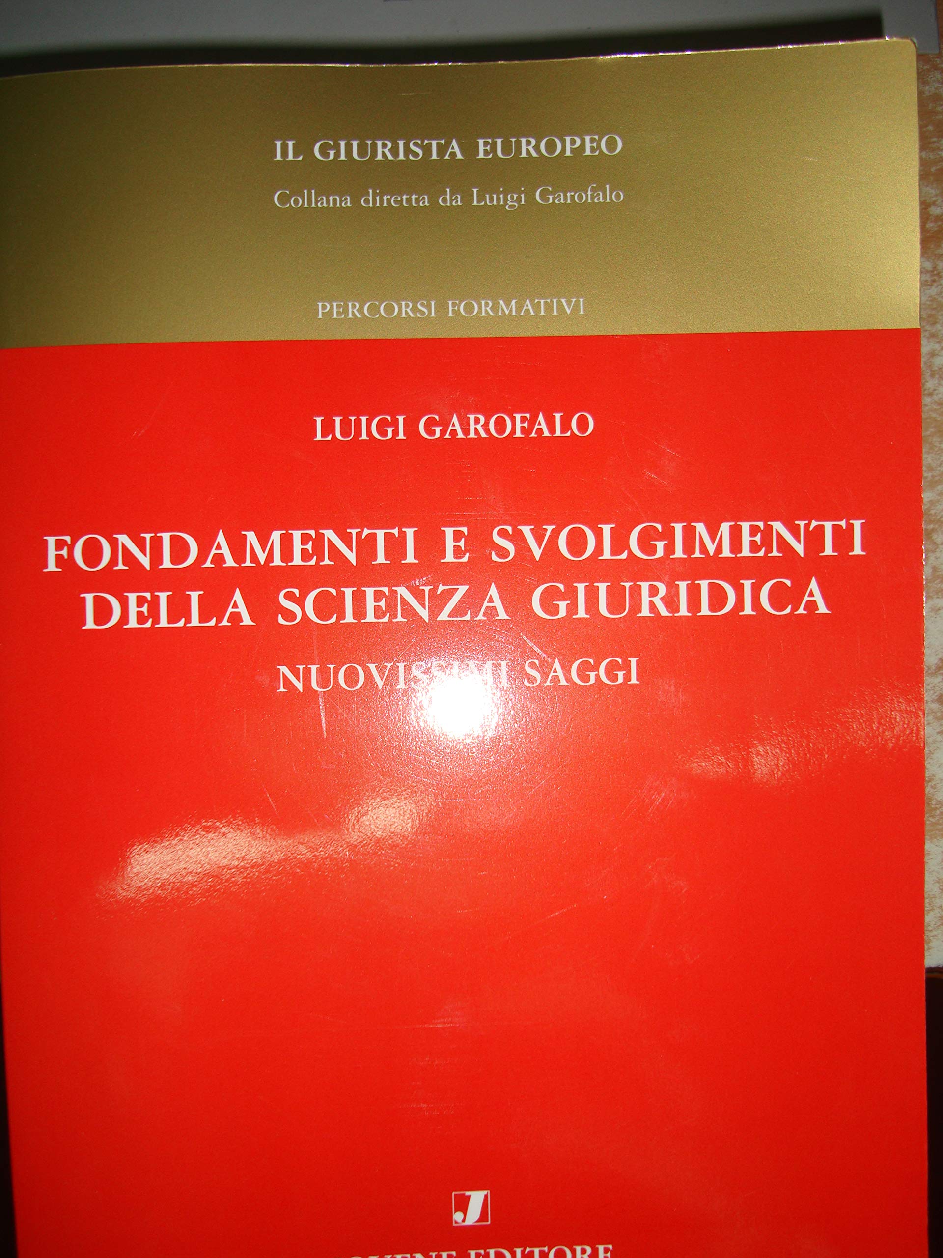 Fondamenti e svolgimenti della scienza giuridica book