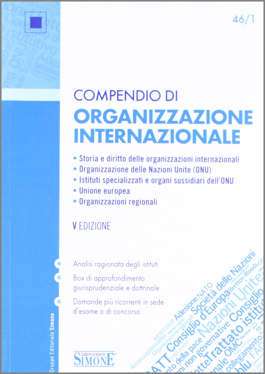 Compendio di organizzazione internazionale book