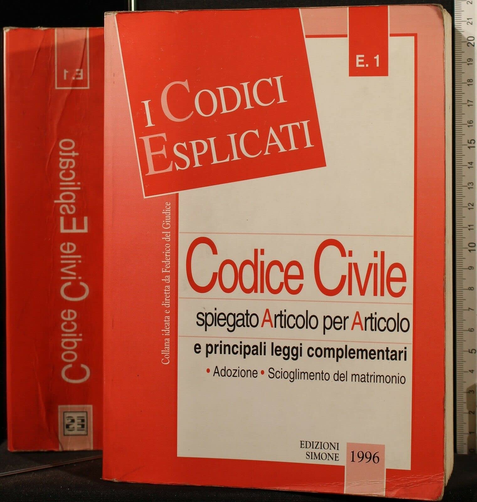 Codice civile spiegato articolo per articolo e principali leggi complementari book