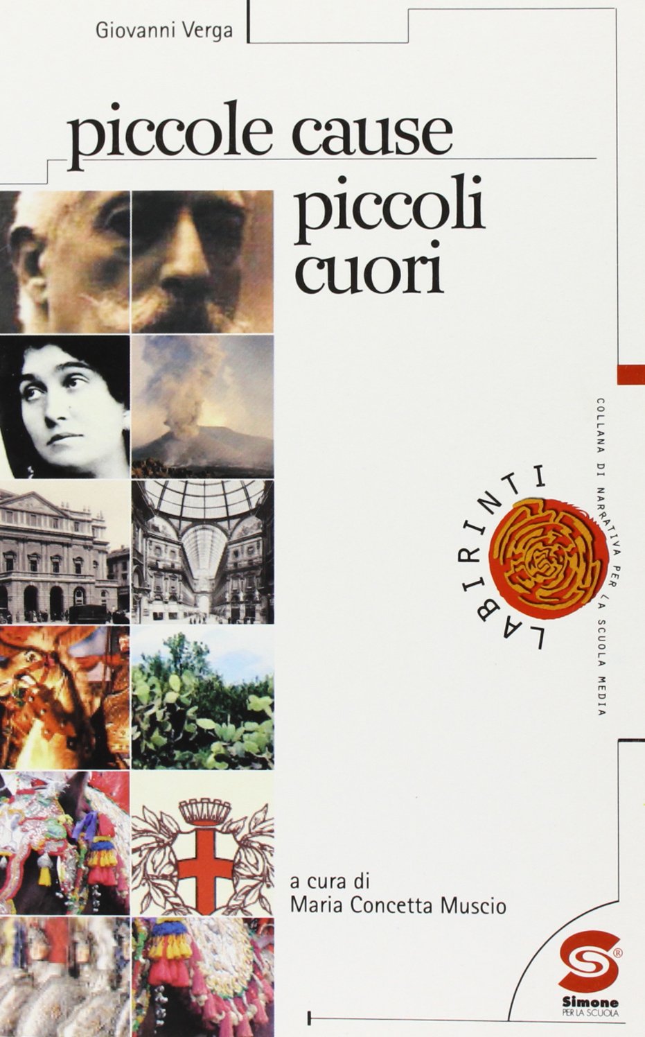 Le piccole cause e i piccoli cuori book