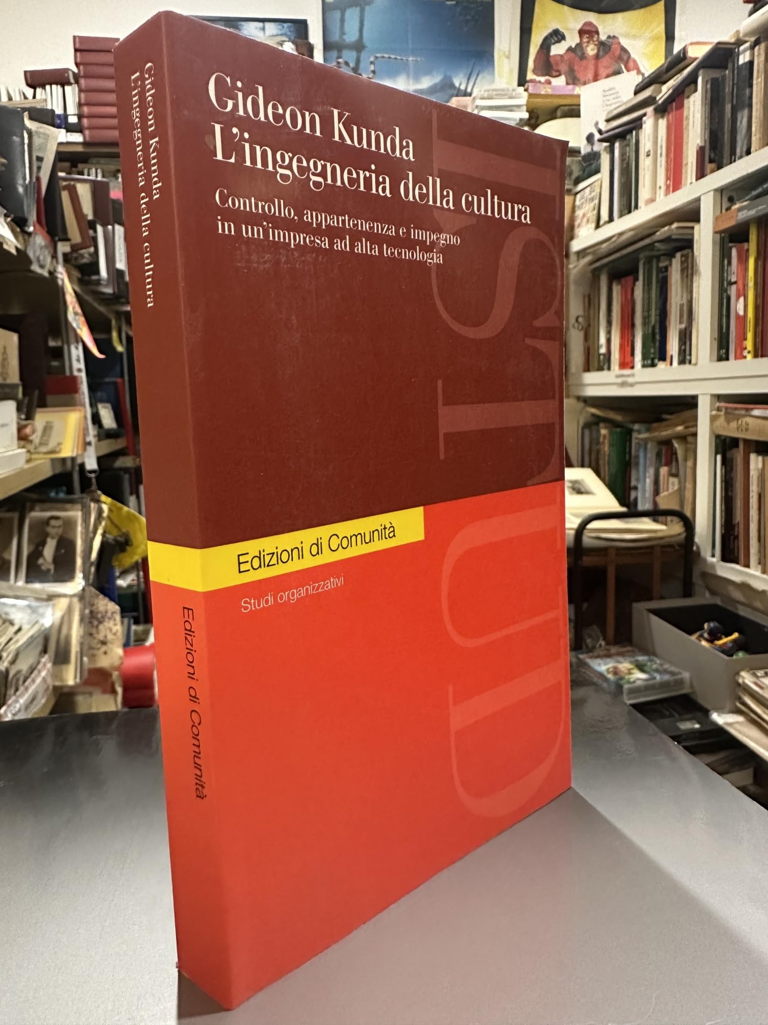 L'ingegneria della cultura. Controllo, appartenenza e impegno in un'impresa ad alta tecnologia book
