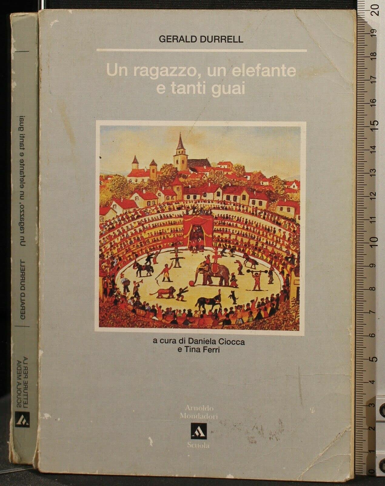 Un ragazzo, un elefante e tanti guai book