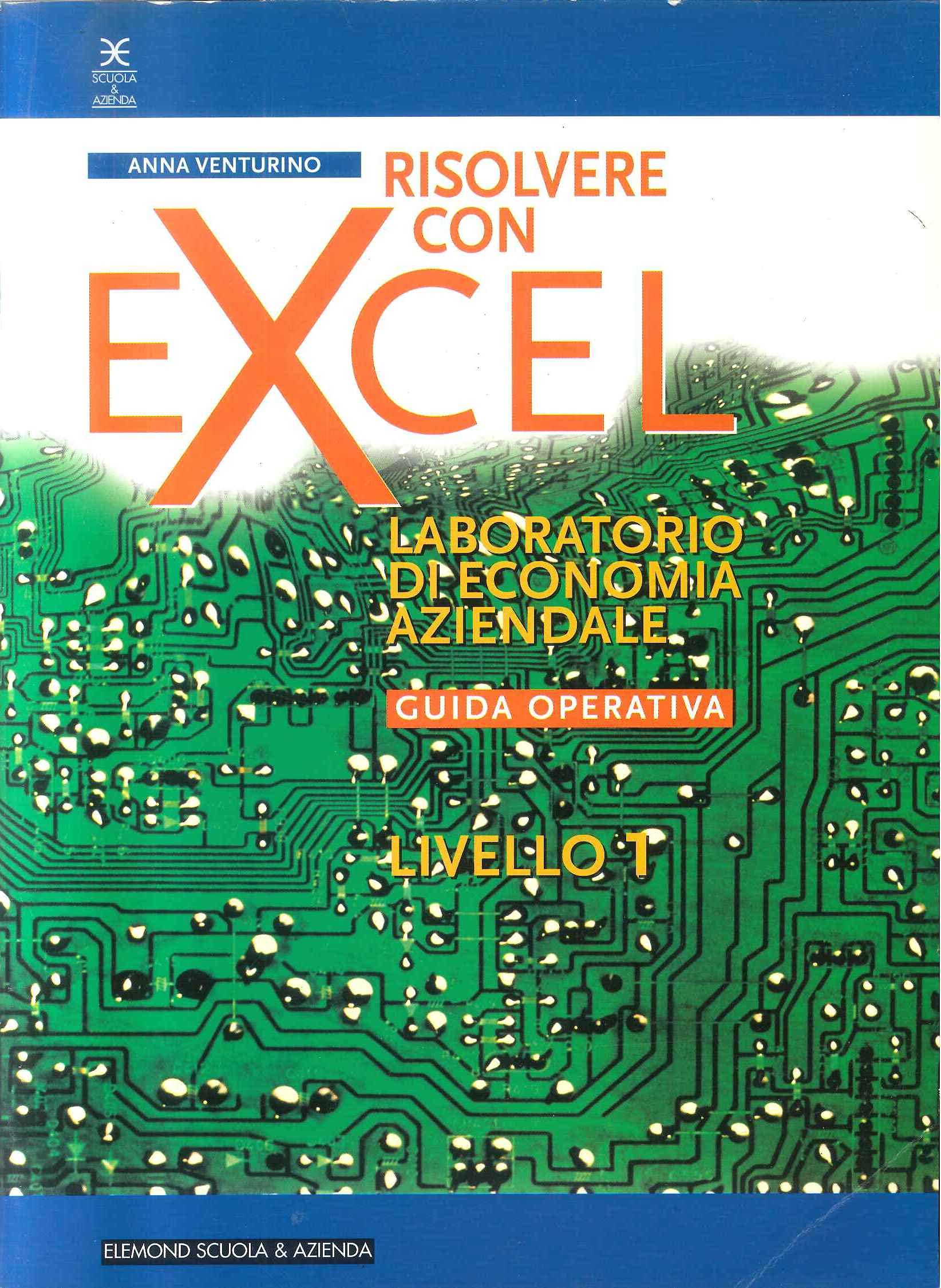 Risolvere con Excel. Laboratorio di economia aziendale. Per le Scuole superiori Professional & Reference Books