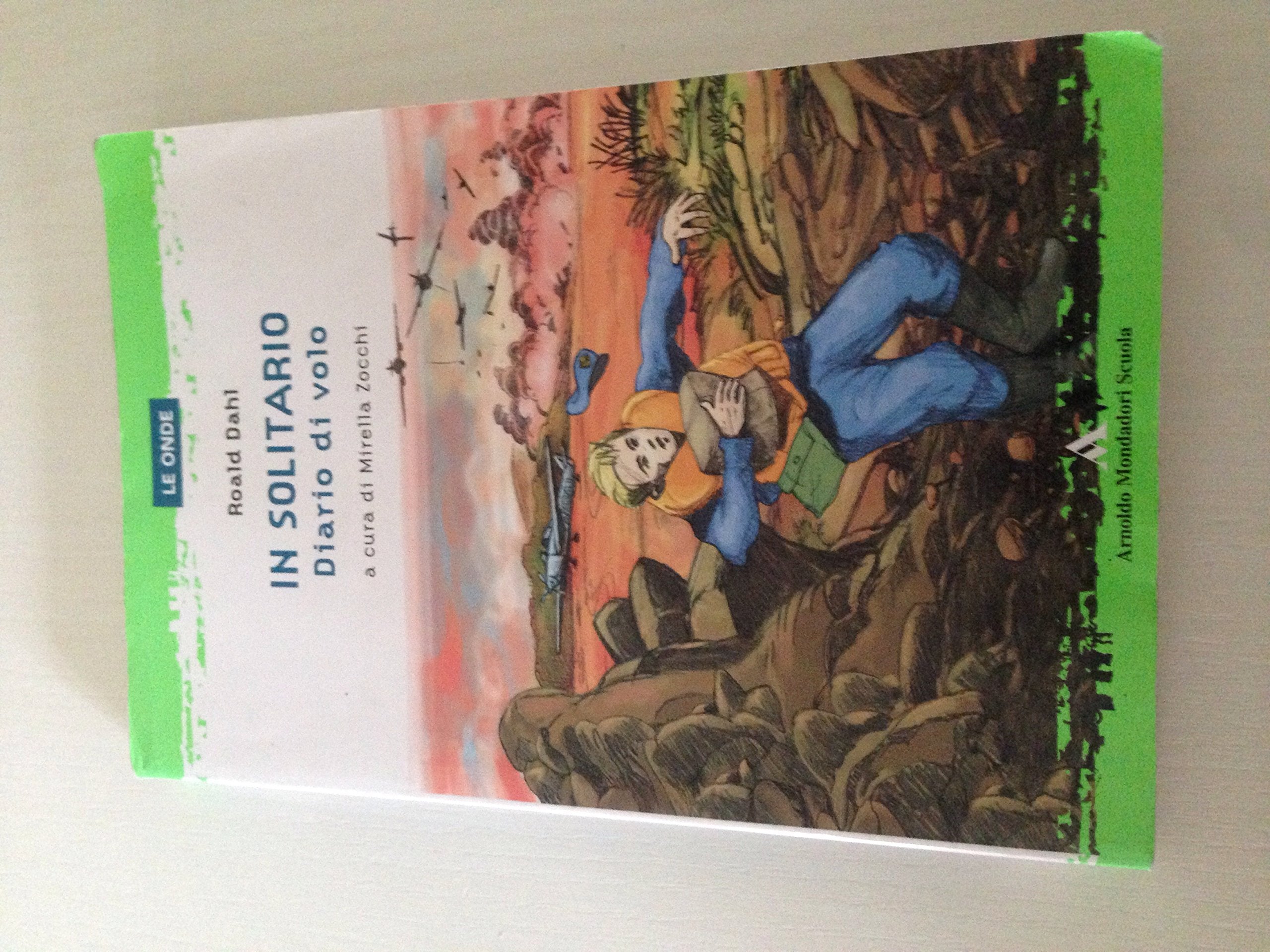 In solitario. Diario di volo book