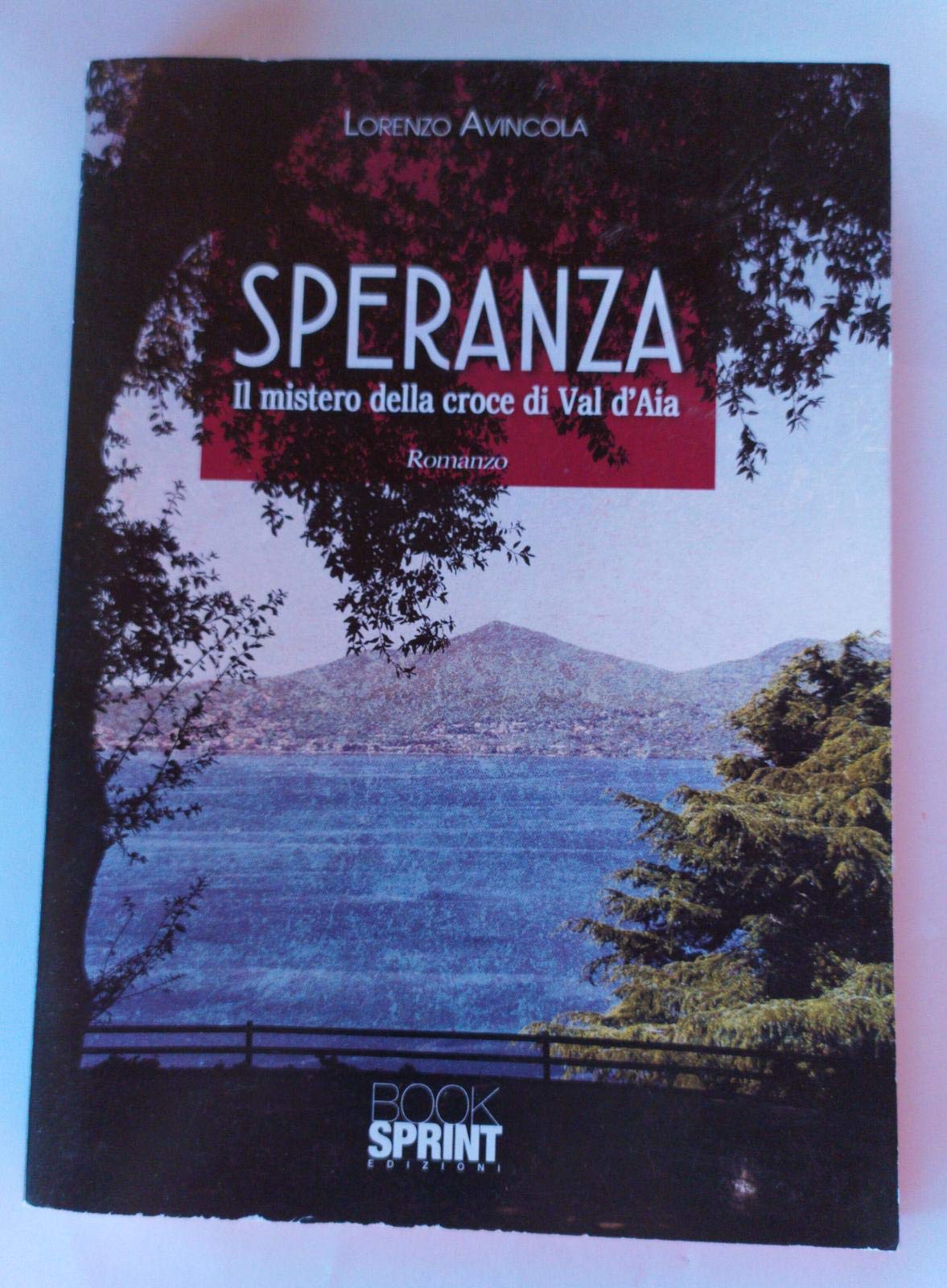 Speranza. Il mistero della croce di Val d'Aia Contemporary literature