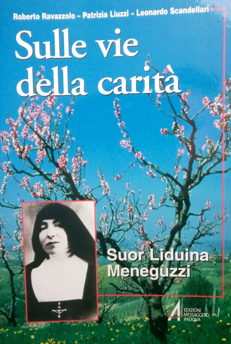 Sulle vie della carità. Suor Liduina Meneguzzi (Spiritualità) Politics & Society
