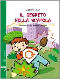 Il segreto nella scatola book
