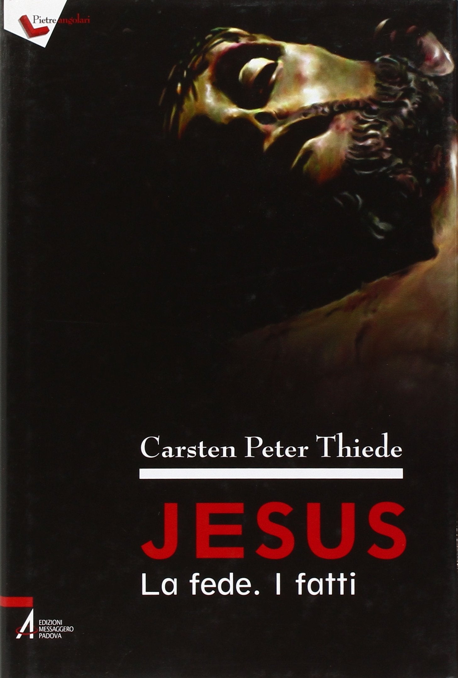 Jesus. La fede. I fatti book