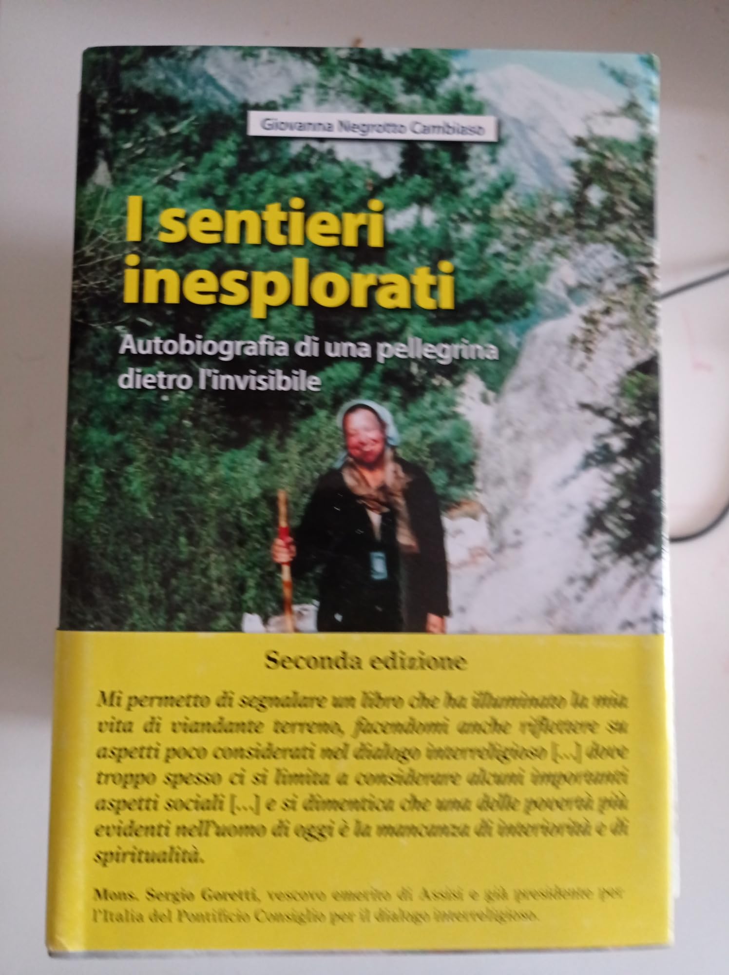Sentieri inesplorati. Autobiografia di una pellegrina dietro l'Invisibile Politics & Society Books