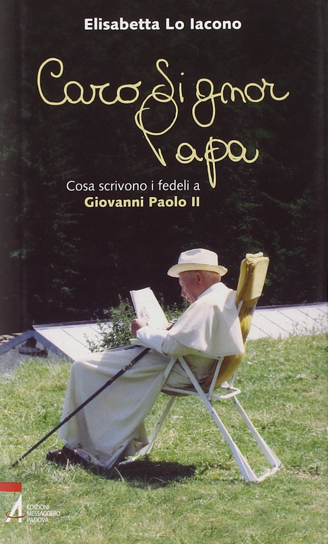 Caro signor Papa. Cosa scrivono i fedeli a Giovanni Paolo II book