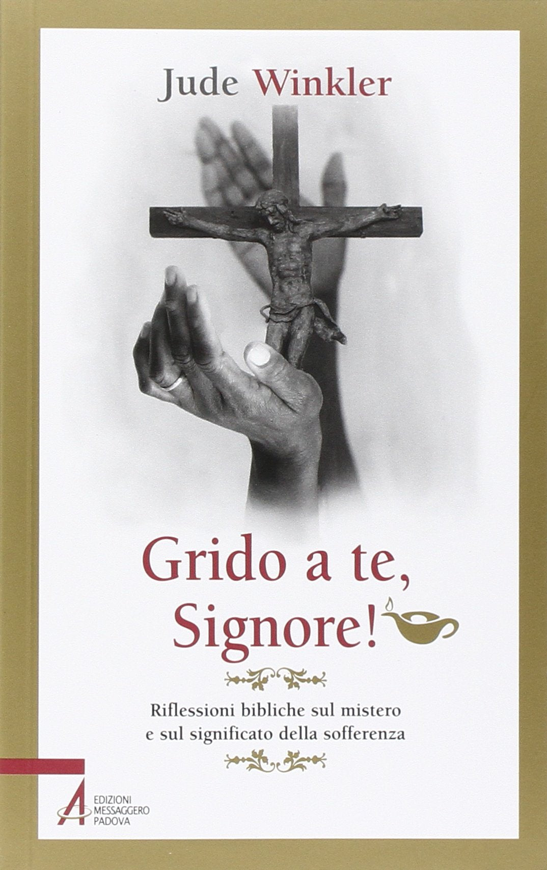 Grido a te, Signore! Riflessioni bibliche sul mistero e sul significato della sofferenza (Pietre preziose) Religion & Esotericism