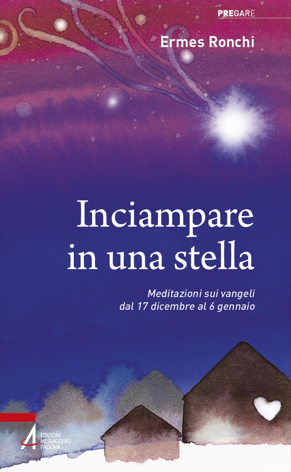 Inciampare in una stella. Meditazioni sui vangeli dal 17 dicembre al 6 gennaio Religion & Esotericism