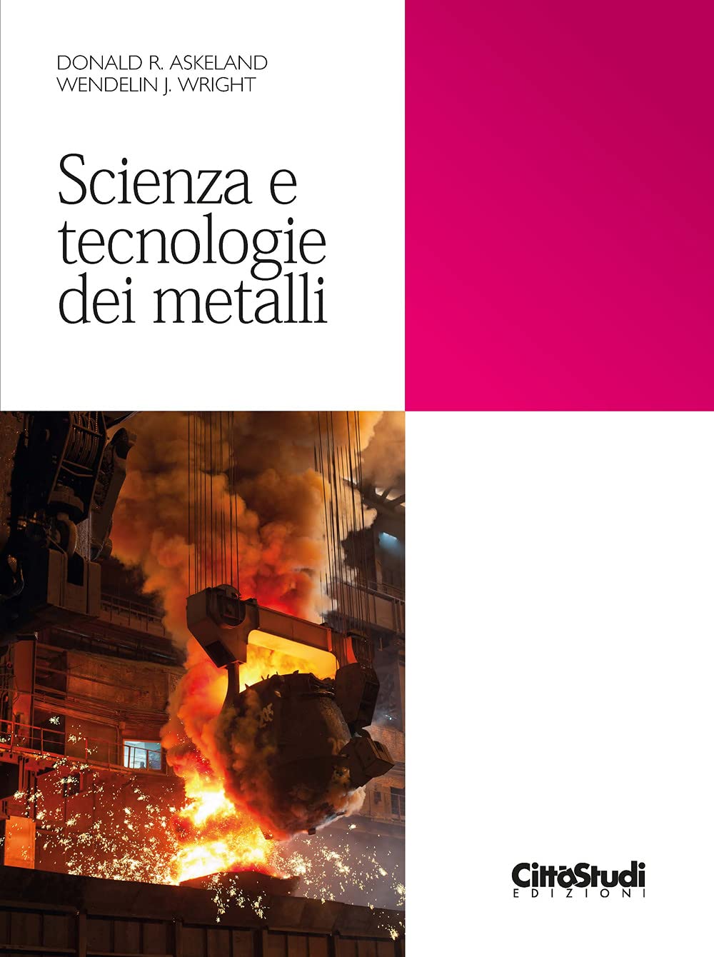 Scienza e tecnologie dei metalli Books