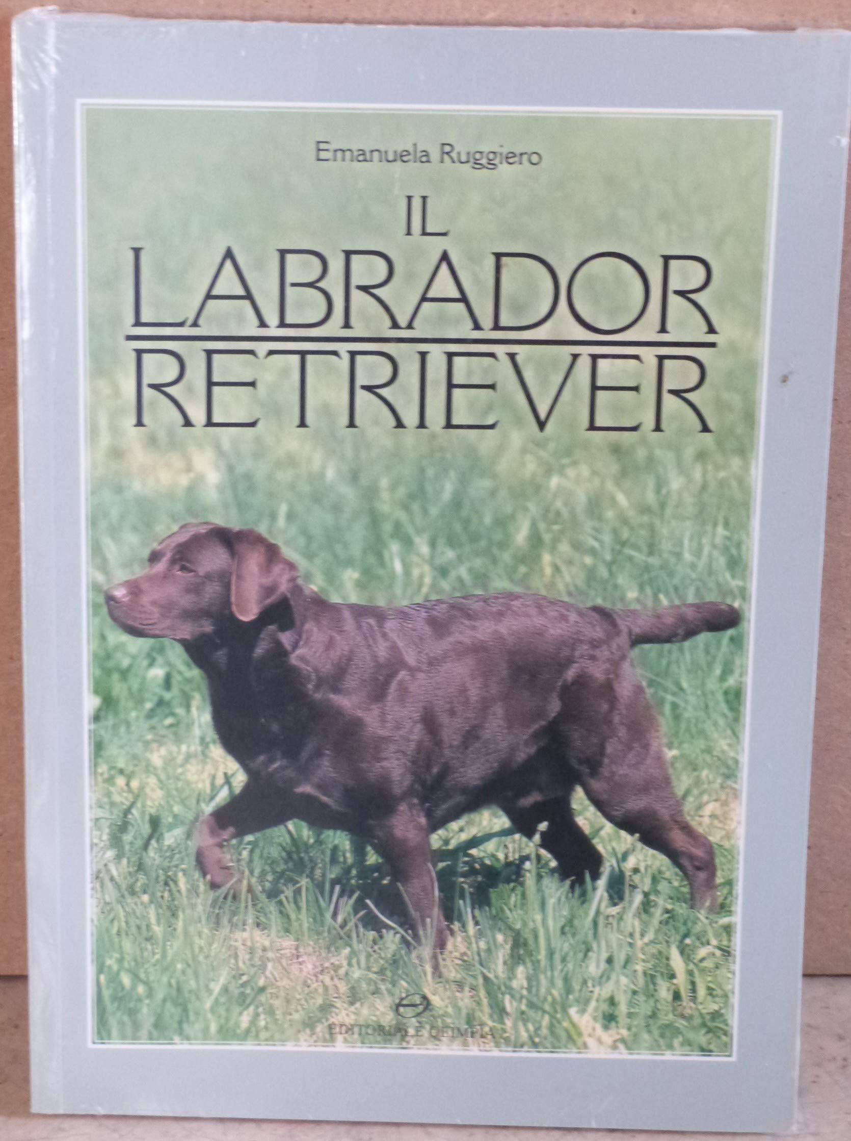 Il labrador retriever (Cinofilia) Pets